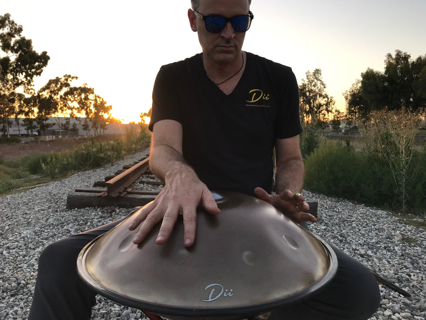 Aurous 12 Note Stainless Steel Handpan D Minor Celtic Scale 432 Hz