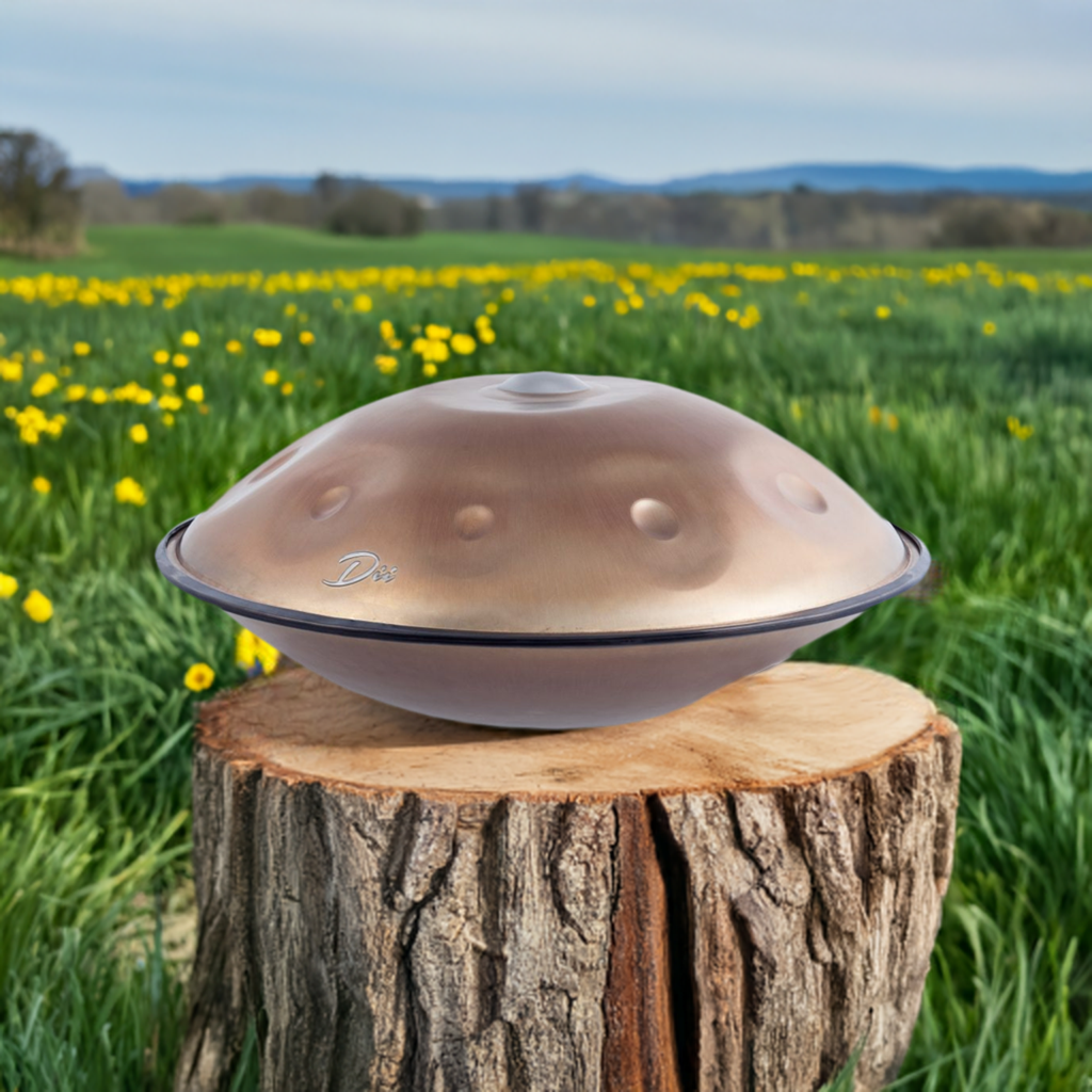 Aurous 12 Note Stainless Steel Handpan D Minor Celtic Scale 432 Hz