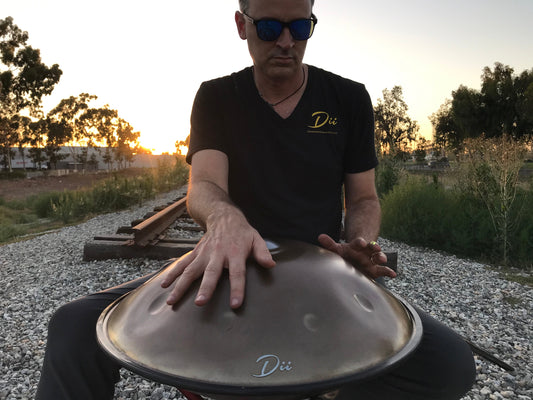 Aurous 12 Note Stainless Steel Handpan D Minor Celtic Scale 432 Hz