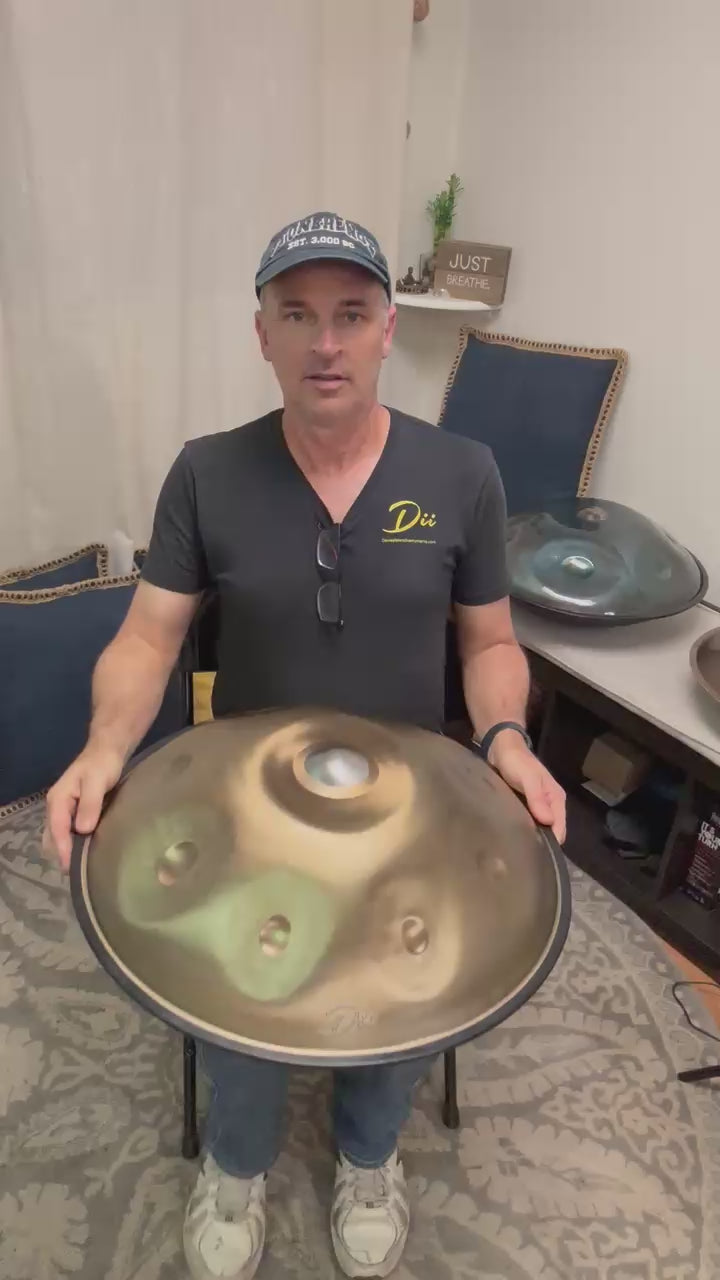 Aurous 12 Note Stainless Steel Handpan D Minor Kurd Scale 432 Hz
