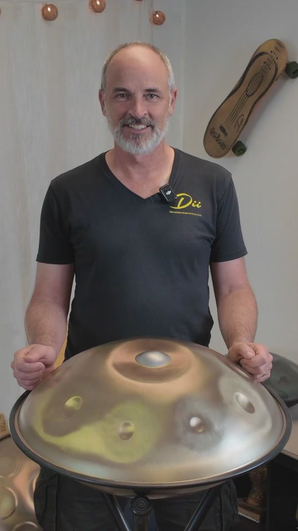 Premium Beginner Handpan D Minor Celtic Scale 440 Hz – Dave's